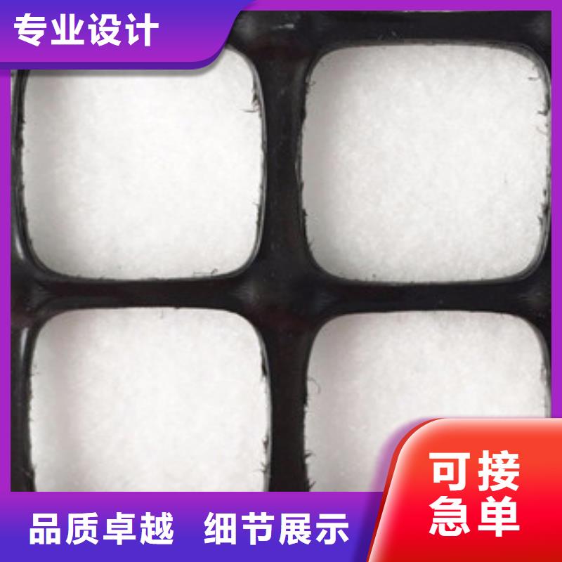 雙向塑料格柵鋼塑土工格柵多行業(yè)適用