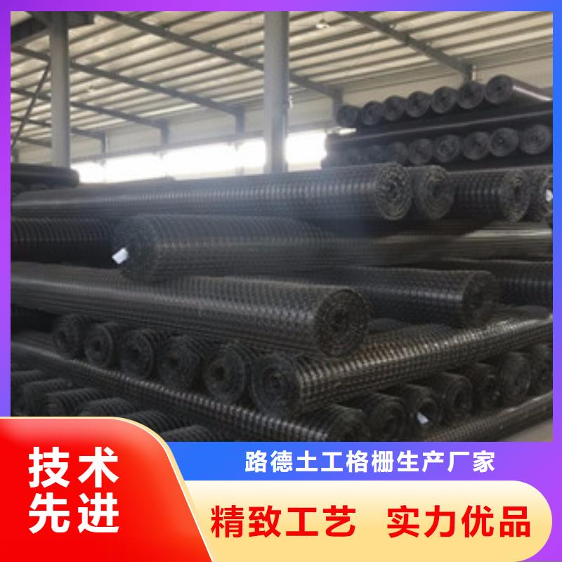 雙向塑料格柵三維植被網誠信經營