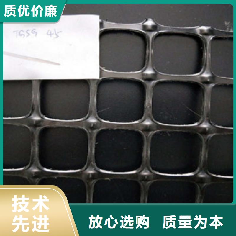 雙向塑料格柵三維植被網實力雄厚品質保障