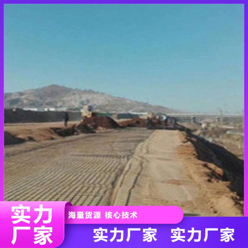 鋼塑土工格柵三維植被網(wǎng)值得買