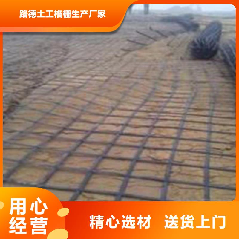 鋼塑土工格柵玻纖土工格柵用途廣泛