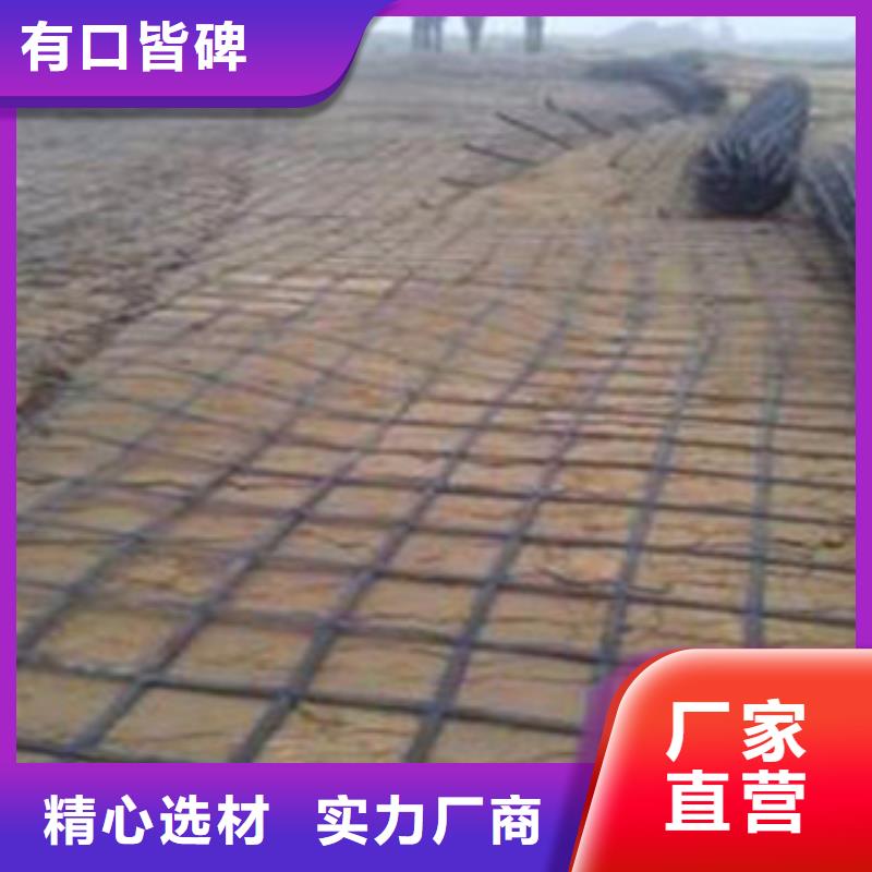 鋼塑土工格柵三維植被網(wǎng)值得買