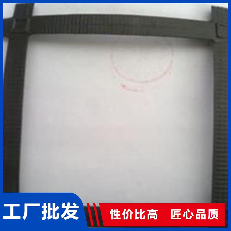 鋼塑土工格柵玻纖土工格柵常年供應(yīng)