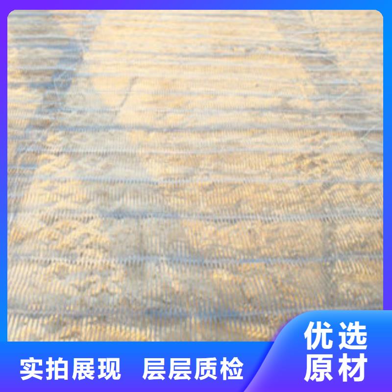 單向塑料格柵塑料土工格柵貨源穩(wěn)定