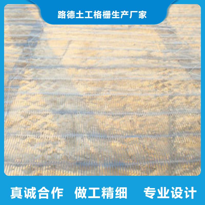 單向塑料格柵-玻纖土工格柵多家倉(cāng)庫(kù)發(fā)貨