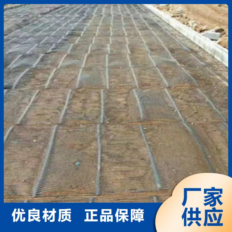 单向塑料格栅塑料土工格栅用心做好每一件产品