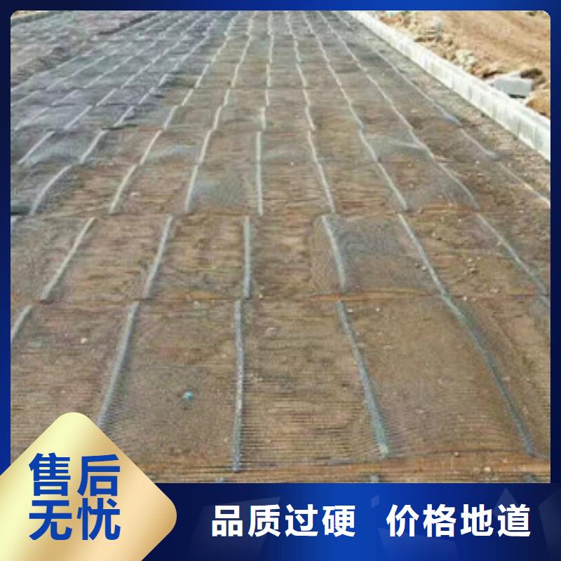 單向塑料格柵-三維植被網(wǎng)好貨有保障