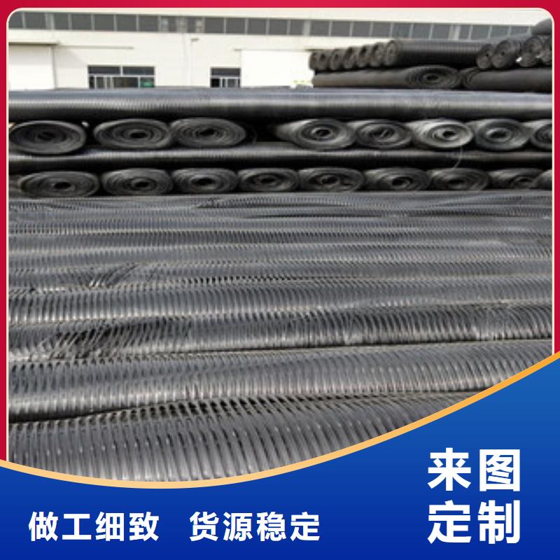 单向塑料格栅-三维植被网好货有保障