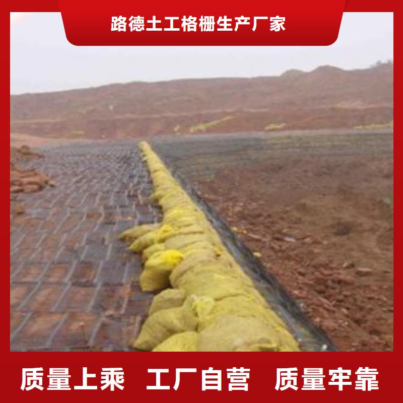 單向塑料格柵防裂貼抗裂貼放心購