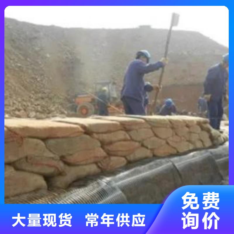 單向塑料格柵三維植被網(wǎng)精品選購