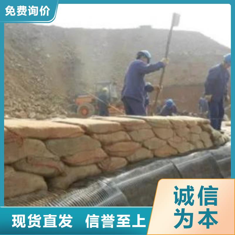 單向塑料格柵,三維植被網(wǎng)貨源足質(zhì)量好