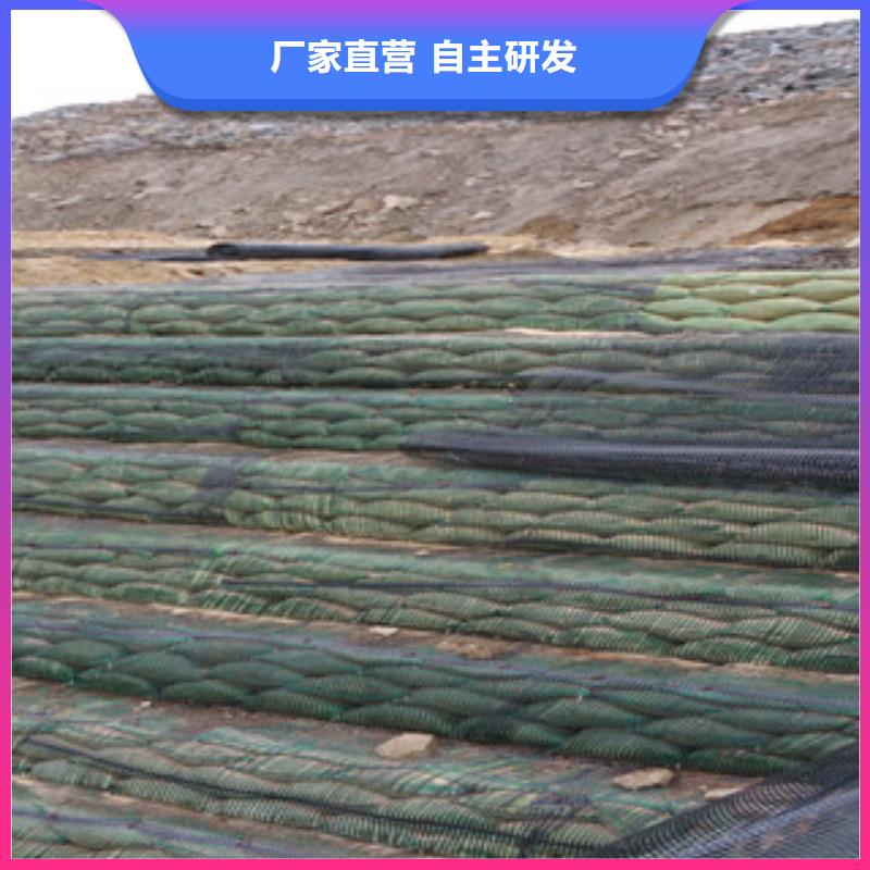 單向塑料格柵防裂貼抗裂貼現(xiàn)貨直供