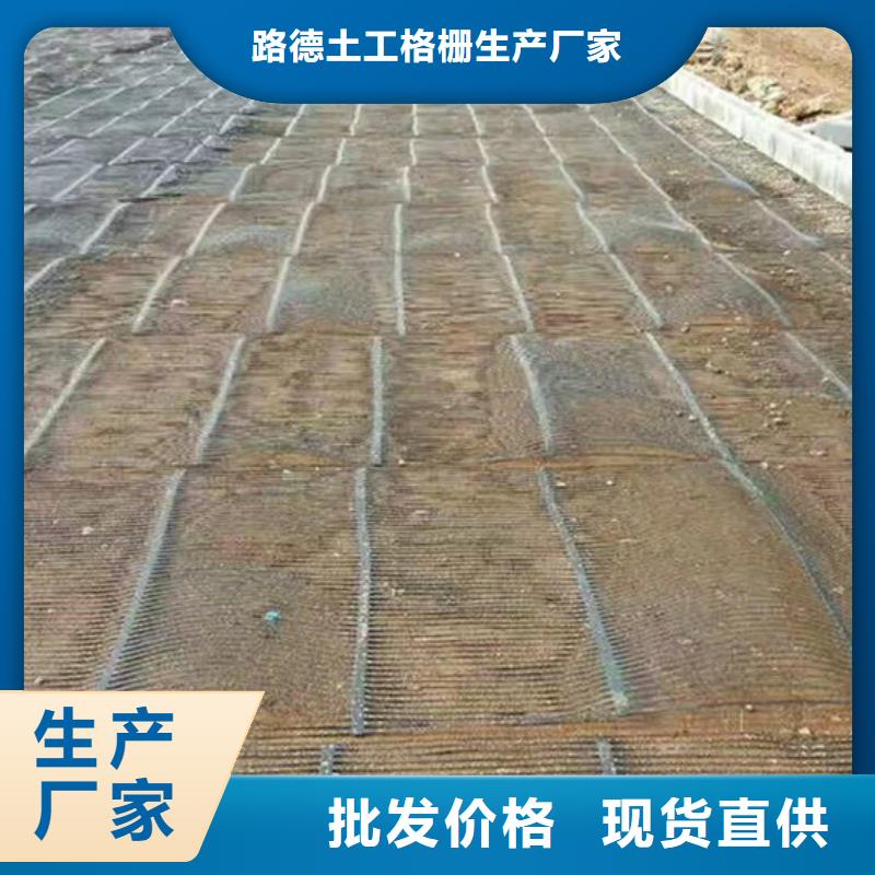 單向塑料格柵,三維植被網(wǎng)貨源足質(zhì)量好