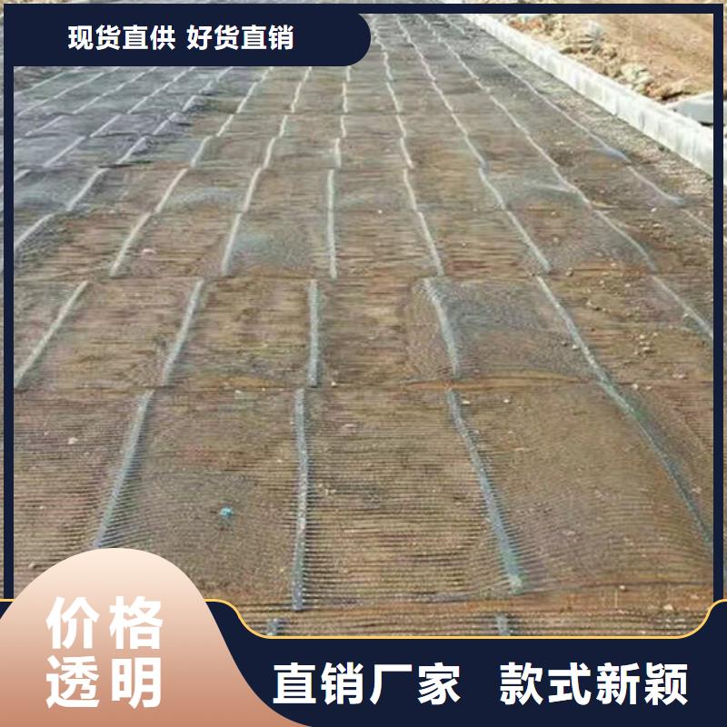 单向塑料格栅塑料土工格栅诚信厂家