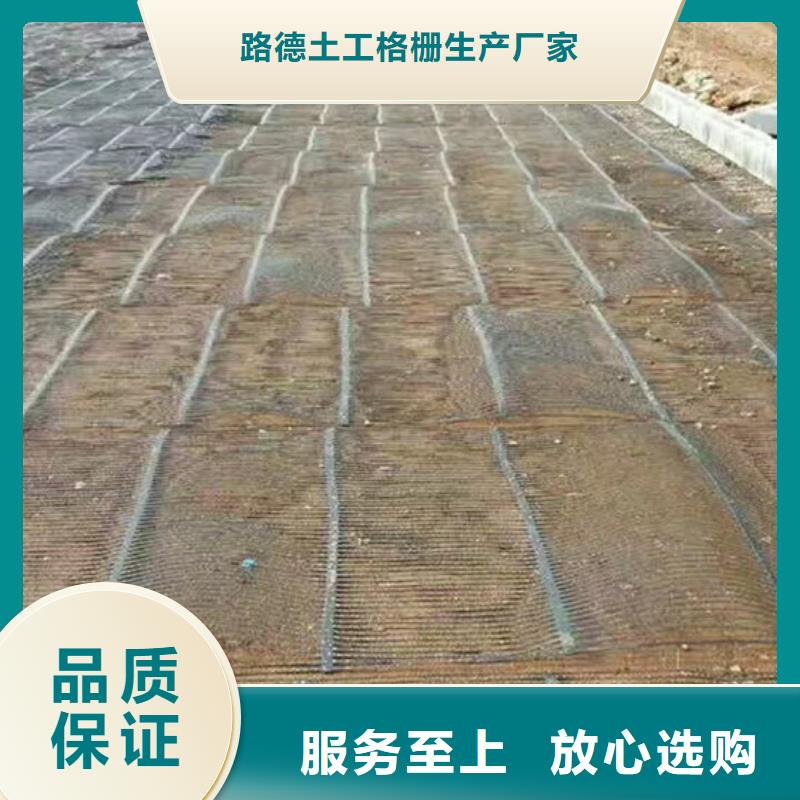 單向塑料格柵三維植被網(wǎng)定制批發(fā)