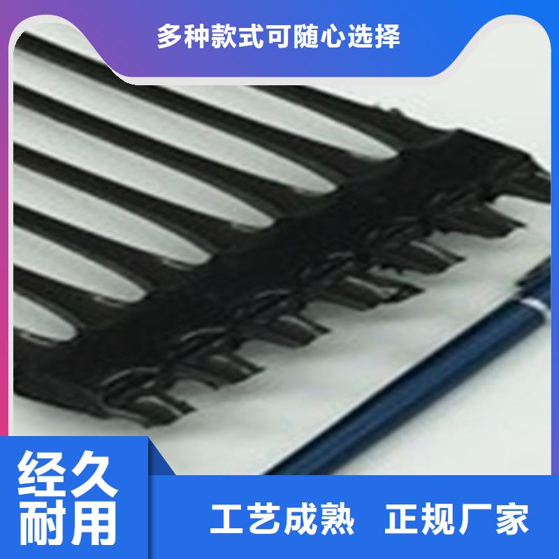 單向塑料格柵塑料土工格柵誠信廠家