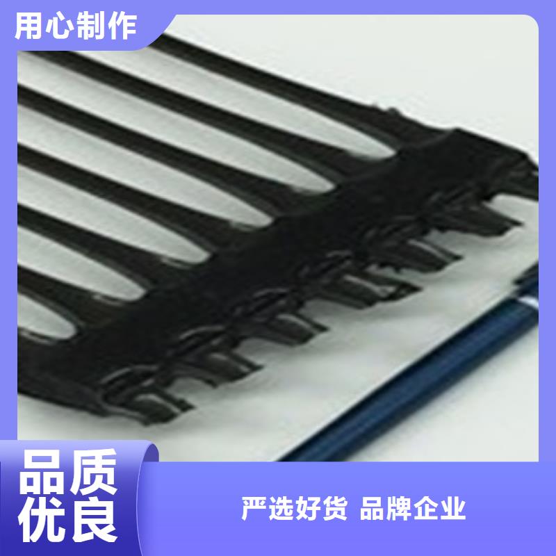 單向塑料格柵,三維植被網(wǎng)貨源足質(zhì)量好