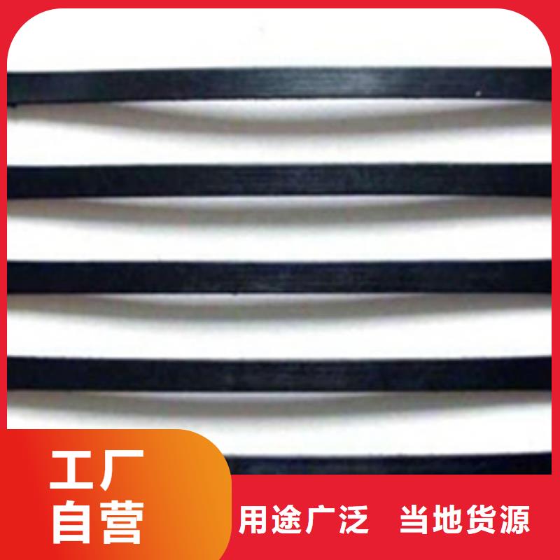 單向塑料格柵,三維植被網(wǎng)貨源足質(zhì)量好