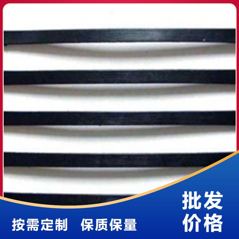 單向塑料格柵防裂貼抗裂貼追求品質(zhì)