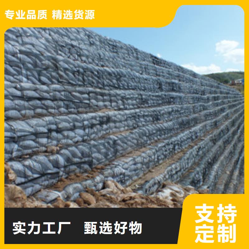 單向塑料格柵,三維植被網(wǎng)貨源足質(zhì)量好