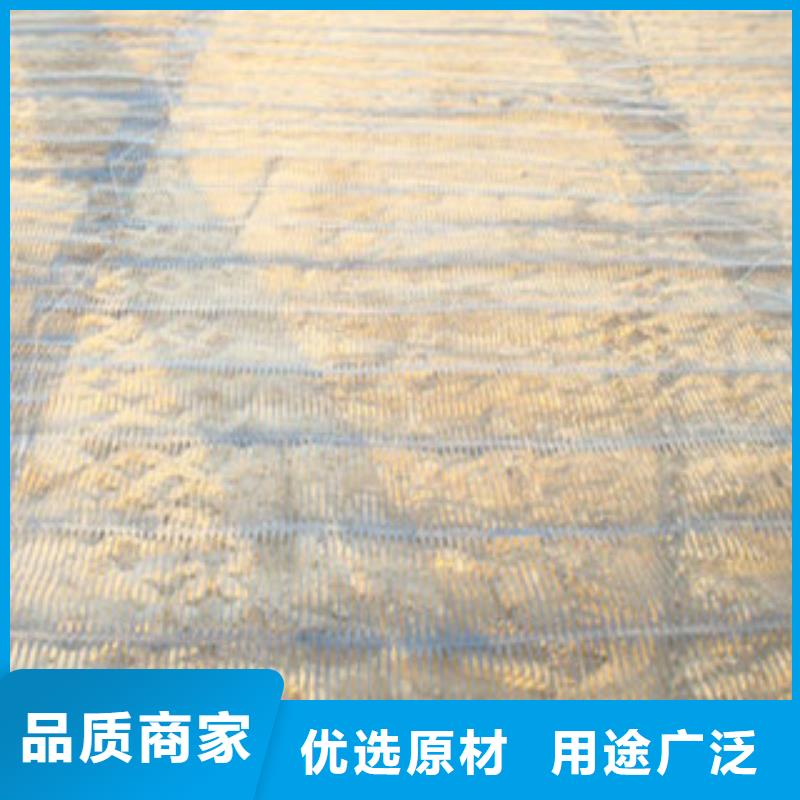 單向塑料格柵,三維植被網(wǎng)貨源足質(zhì)量好