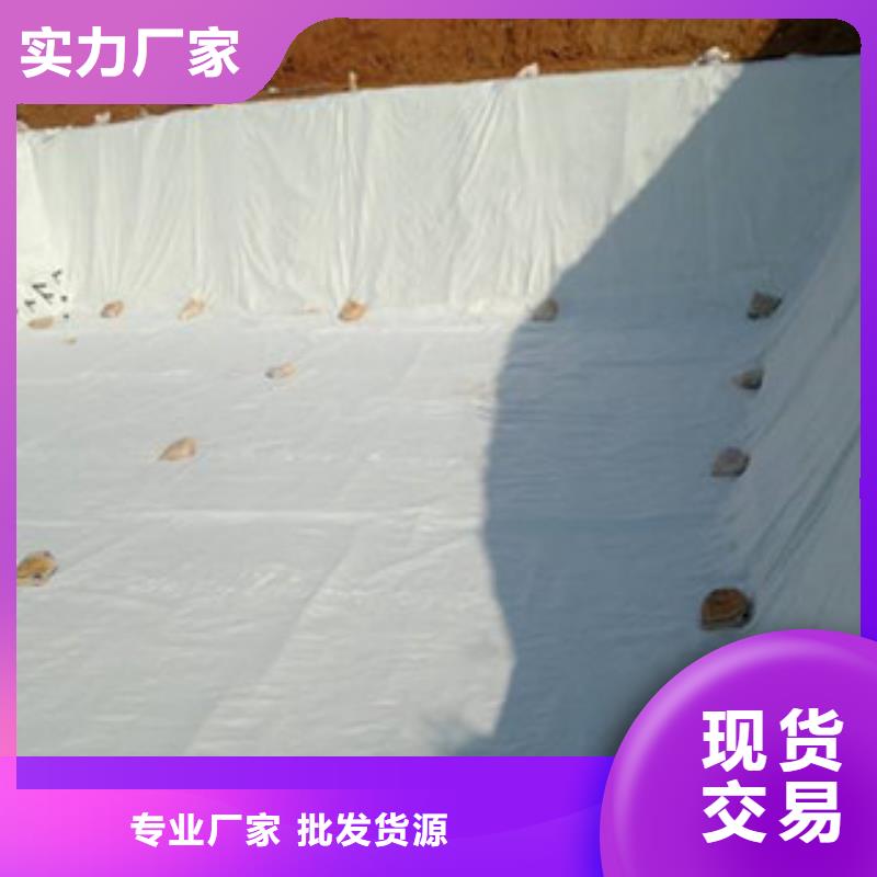 土工布塑料土工格栅厂家直营