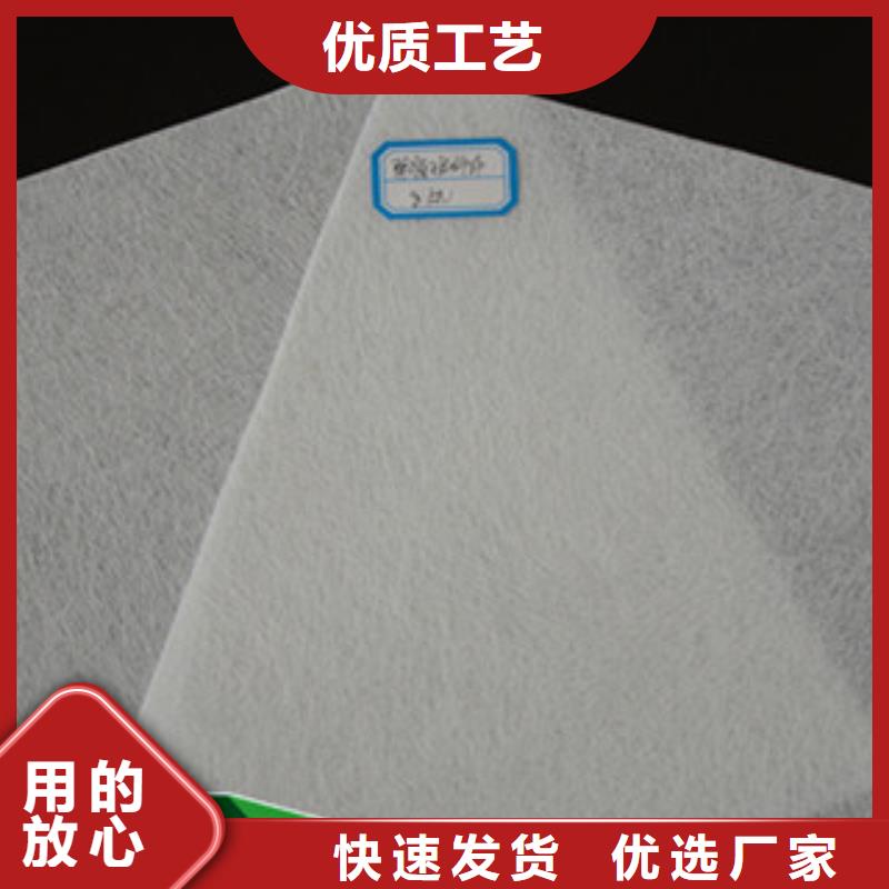 土工布塑料土工格栅厂家直营