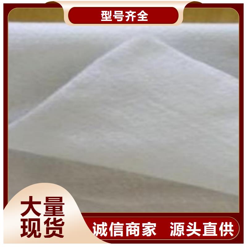 土工布膨润土防水毯N年大品牌