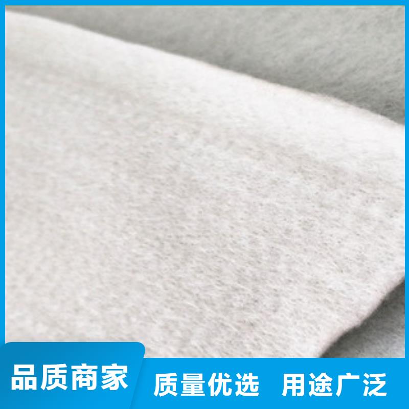 土工布_三維植被網(wǎng)高品質(zhì)誠信廠家
