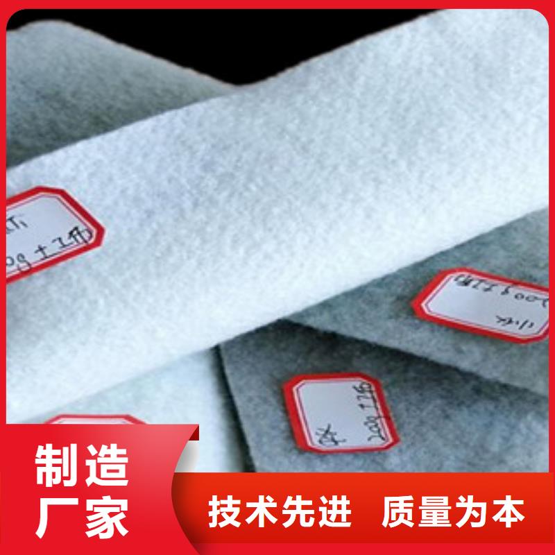 土工布玻纖土工格柵大廠生產(chǎn)品質(zhì)