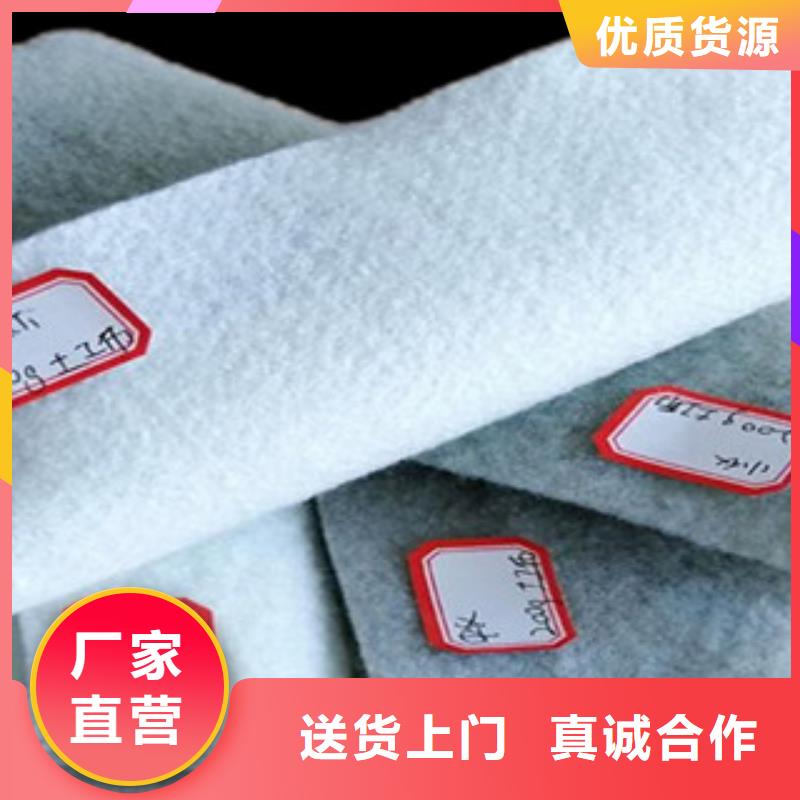 土工布,高強(qiáng)度土工網(wǎng)貨源充足