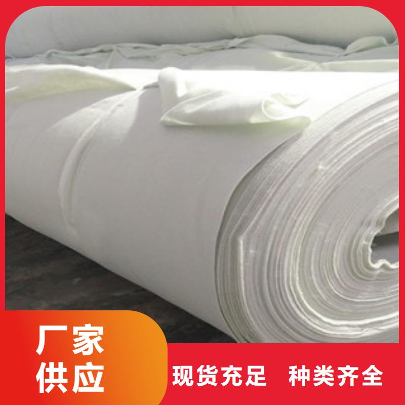 土工布三維植被網(wǎng)源頭廠家供應(yīng)