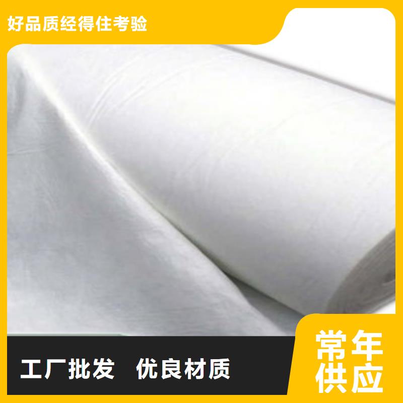 土工布三維植被網(wǎng)源頭廠家供應(yīng)