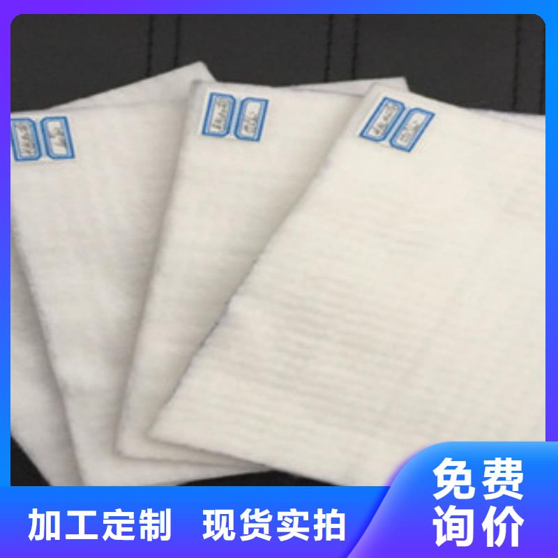 土工布玻纤土工格栅大厂生产品质