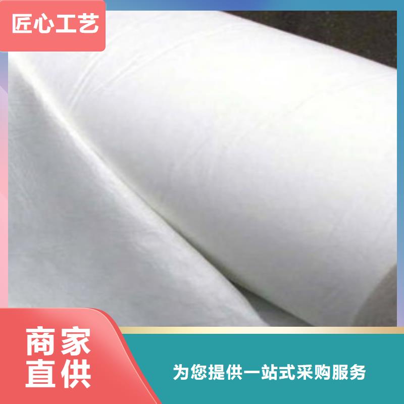土工布玻纖土工格柵定金鎖價