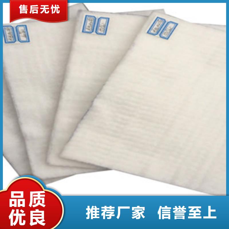 土工布膨润土防水毯N年大品牌