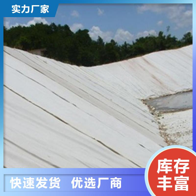 土工布玻纖土工格柵定金鎖價
