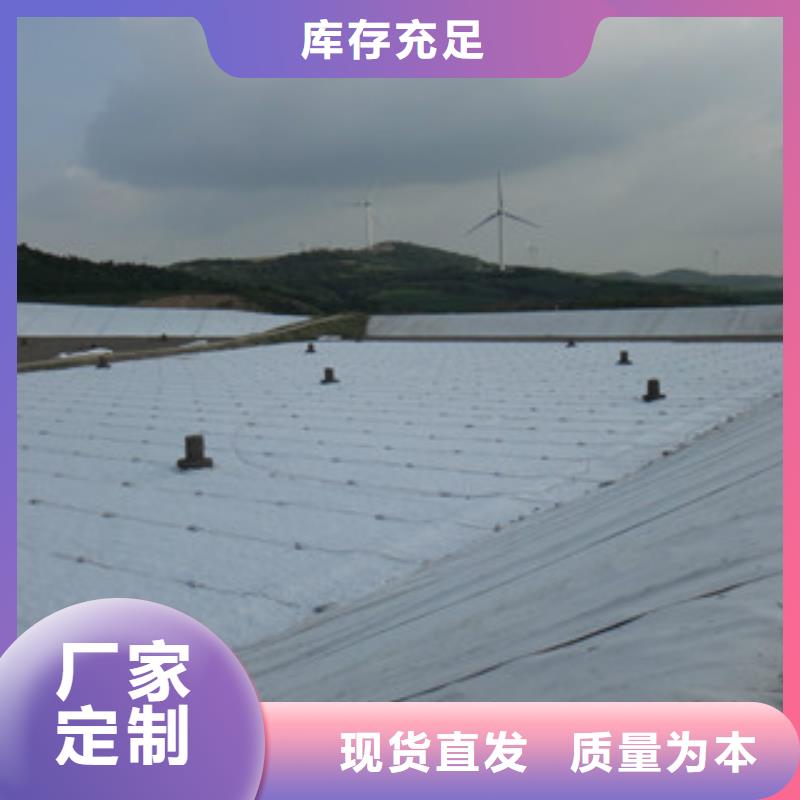土工布玻纖土工格柵定金鎖價