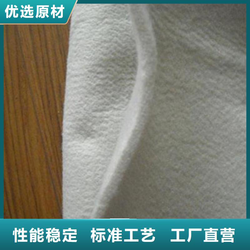 土工布玻纖土工格柵定金鎖價