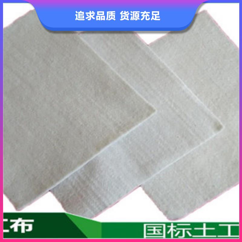 土工布玻纖土工格柵定金鎖價