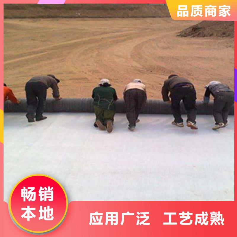 膨润土防水毯防裂贴抗裂贴供您所需