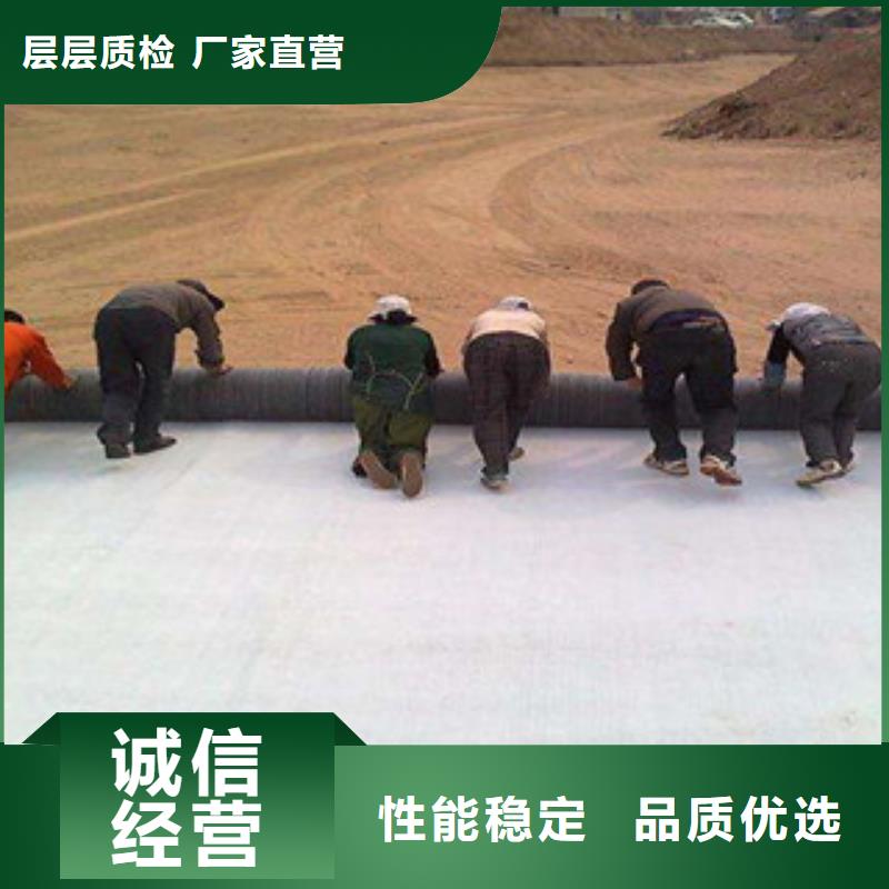 膨潤土防水毯塑料土工格柵可放心采購