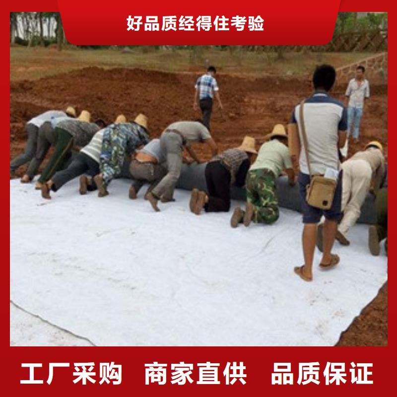 膨潤土防水毯防裂貼抗裂貼批發(fā)價格