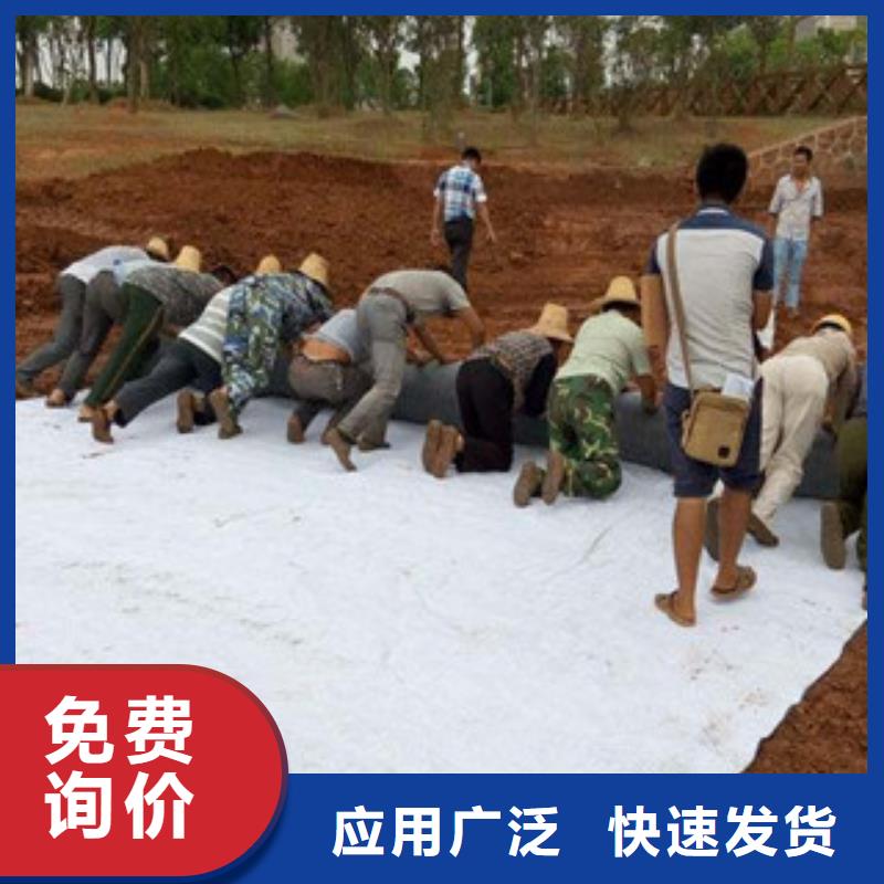 膨润土防水毯-塑料土工格栅品质保证实力见证