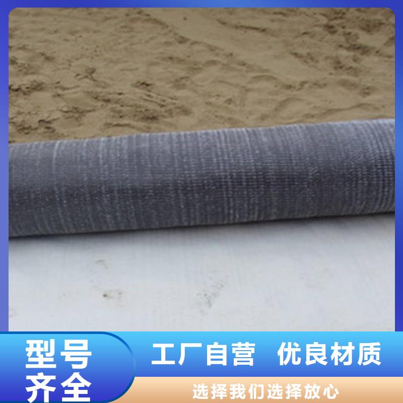 膨潤土防水毯塑料土工格柵可放心采購