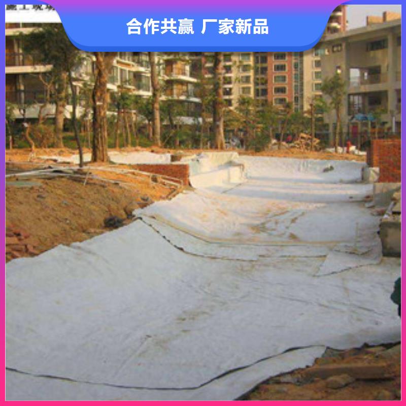膨潤土防水毯塑料土工格柵可放心采購