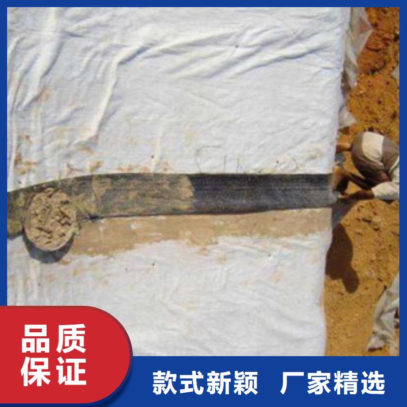 膨潤土防水毯塑料土工格柵好品質(zhì)選我們