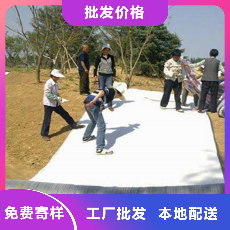膨潤土防水毯塑料土工格柵可放心采購