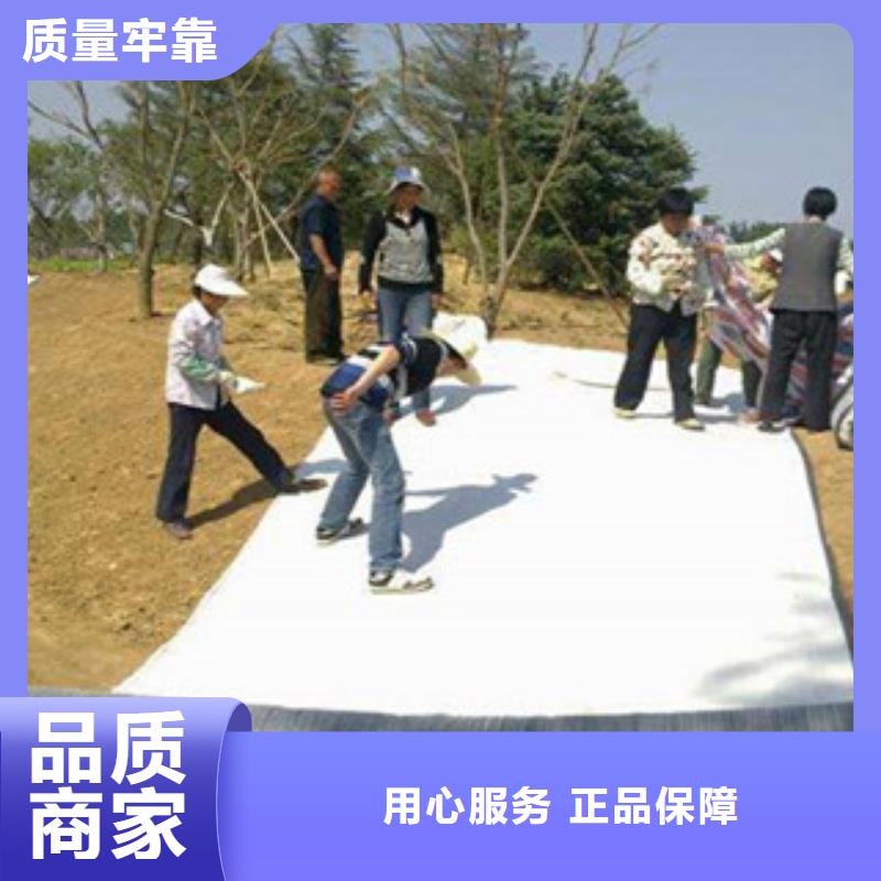 膨潤土防水毯防裂貼抗裂貼技術(shù)先進
