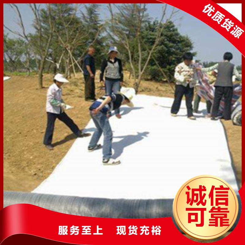 膨潤土防水毯塑料土工格柵可放心采購